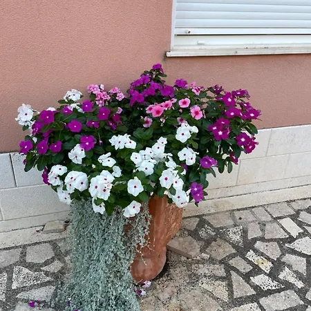 Guest house Apartman Jukic