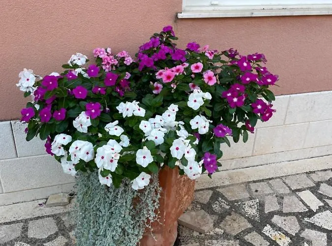 ゲストハウス Jukic